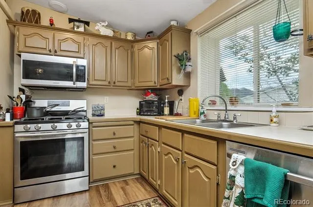 201 Larissa Lane Buena Vista, CO 81211