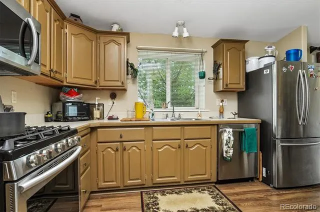 201 Larissa Lane Buena Vista, CO 81211