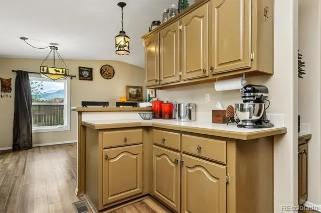 201 Larissa Lane Buena Vista, CO 81211