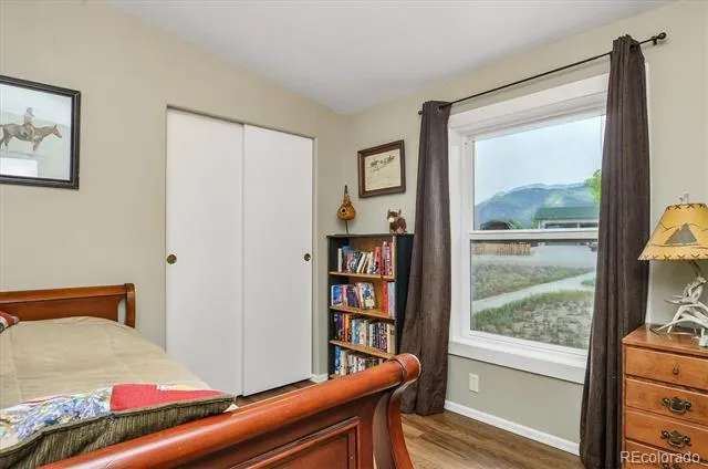201 Larissa Lane Buena Vista, CO 81211