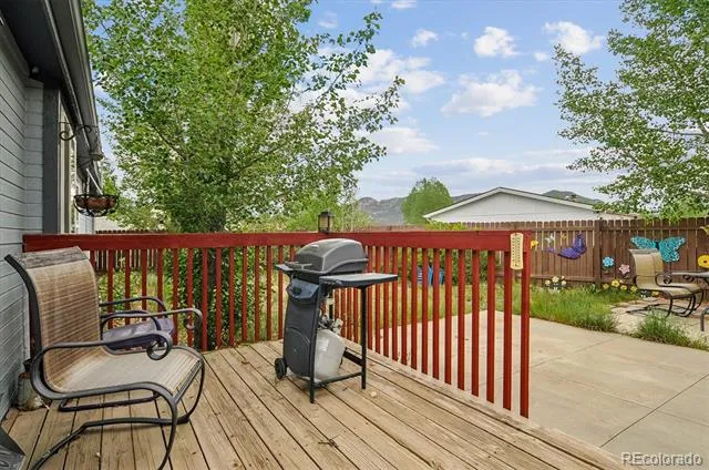 201 Larissa Lane Buena Vista, CO 81211