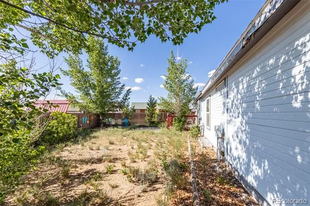 201 Larissa Lane Buena Vista, CO 81211