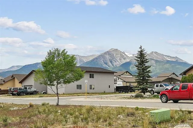 201 Larissa Lane Buena Vista, CO 81211