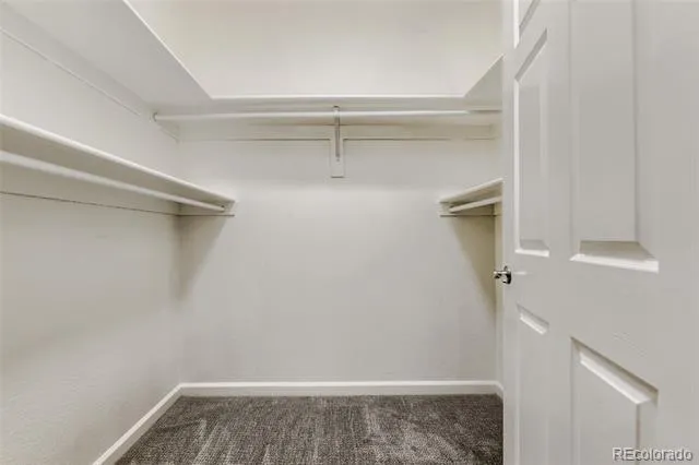 4799 Copeland Circle #101 Highlands Ranch, CO 80126