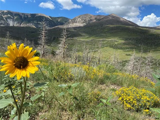 1833 Yellowstone Creek Road La Veta, CO 81055
