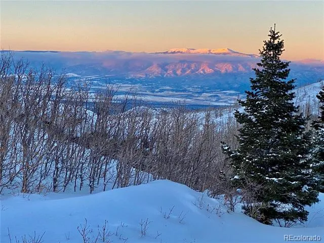 1833 Yellowstone Creek Road La Veta, CO 81055