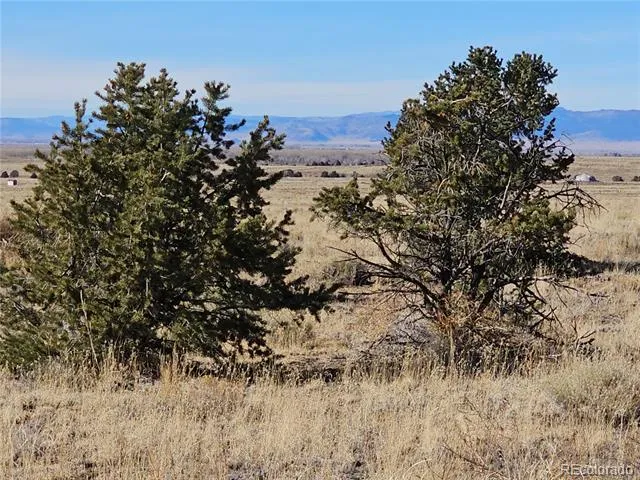 170 Wagon Wheel Road Crestone, CO 81131