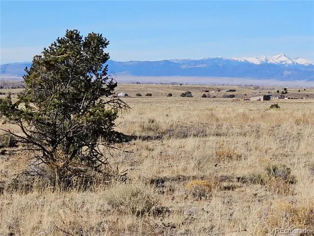 170 Wagon Wheel Road Crestone, CO 81131