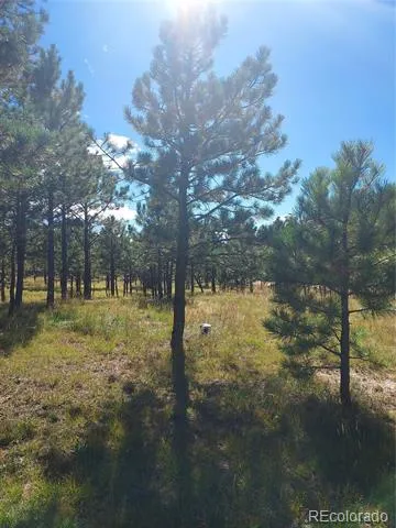 13395 Frank Road Colorado Springs, CO 80908