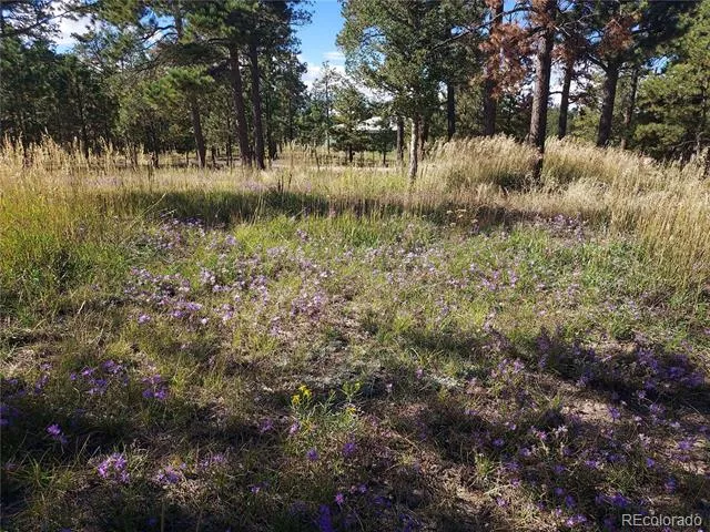 13395 Frank Road Colorado Springs, CO 80908