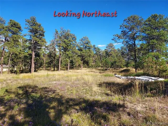 13395 Frank Road Colorado Springs, CO 80908