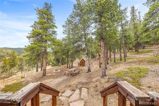 125 Road P62 Bailey, CO 80421