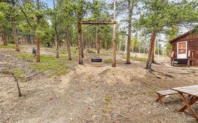125 Road P62 Bailey, CO 80421