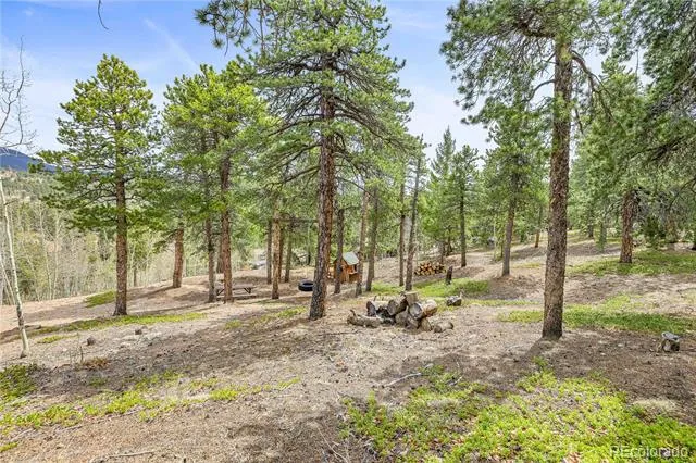 125 Road P62 Bailey, CO 80421