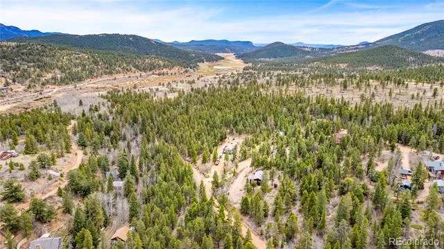 125 Road P62 Bailey, CO 80421