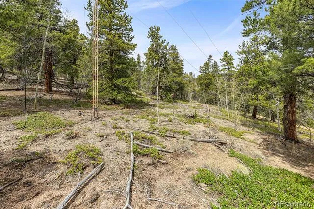 125 Road P62 Bailey, CO 80421