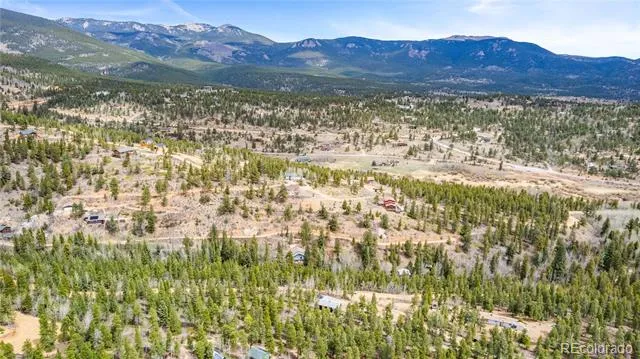 125 Road P62 Bailey, CO 80421