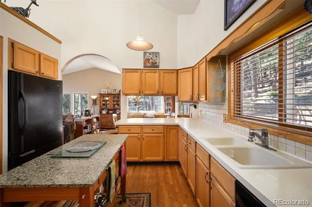 28815 Cragmont Drive Evergreen, CO 80439
