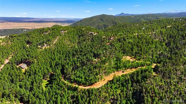 13446 S Firedog Way Larkspur, CO 80118