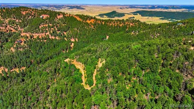 13446 S Firedog Way Larkspur, CO 80118