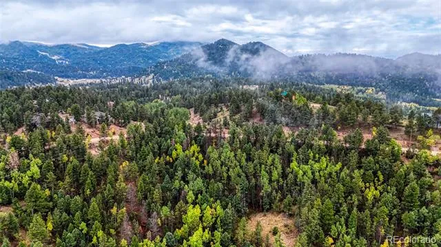 599 Dandy Jim Drive Cripple Creek, CO 80813