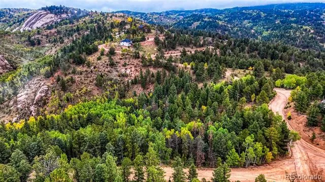 599 Dandy Jim Drive Cripple Creek, CO 80813