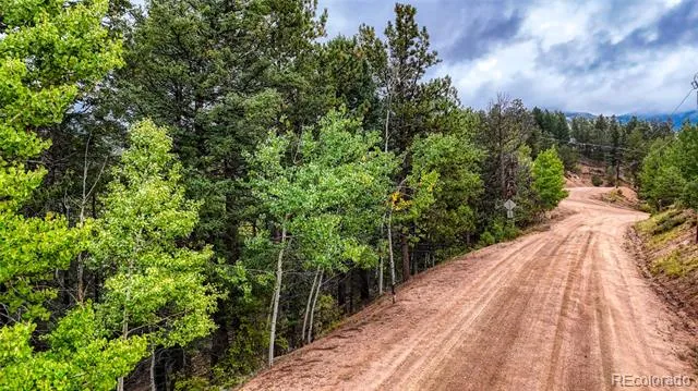 599 Dandy Jim Drive Cripple Creek, CO 80813