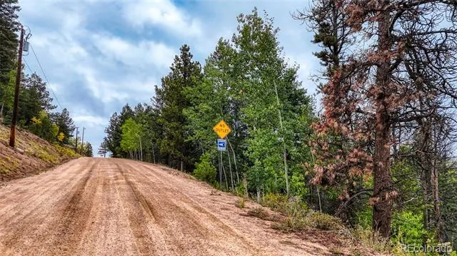 599 Dandy Jim Drive Cripple Creek, CO 80813