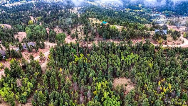 599 Dandy Jim Drive Cripple Creek, CO 80813