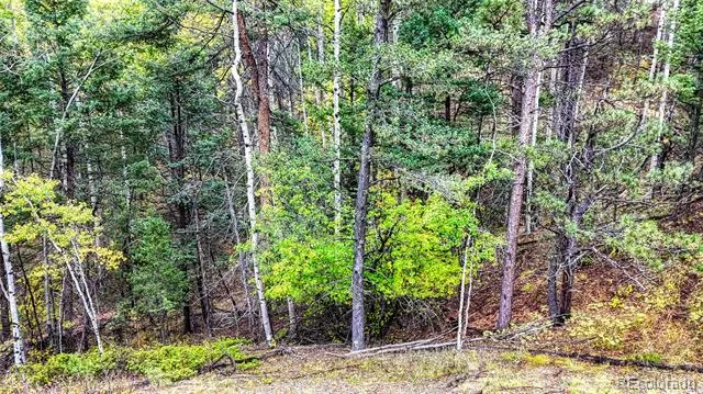 599 Dandy Jim Drive Cripple Creek, CO 80813
