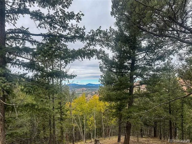 599 Dandy Jim Drive Cripple Creek, CO 80813
