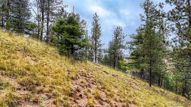 599 Dandy Jim Drive Cripple Creek, CO 80813