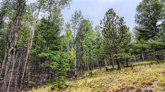 599 Dandy Jim Drive Cripple Creek, CO 80813
