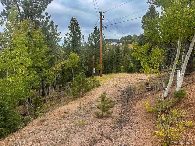 599 Dandy Jim Drive Cripple Creek, CO 80813