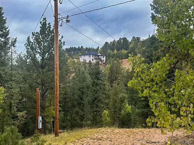 599 Dandy Jim Drive Cripple Creek, CO 80813
