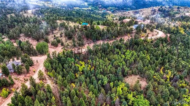 599 Dandy Jim Drive Cripple Creek, CO 80813