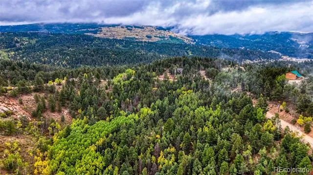 599 Dandy Jim Drive Cripple Creek, CO 80813