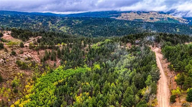 599 Dandy Jim Drive Cripple Creek, CO 80813