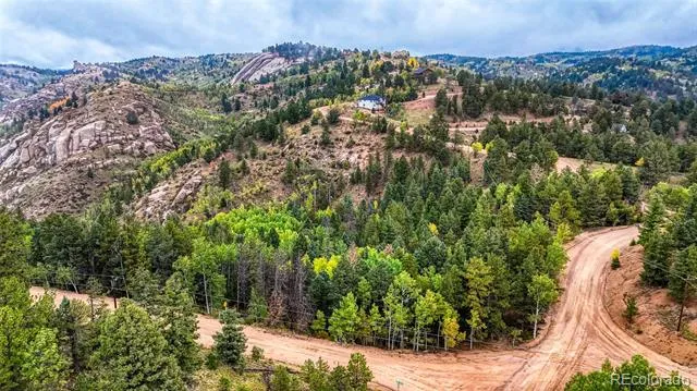 599 Dandy Jim Drive Cripple Creek, CO 80813