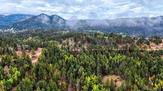 599 Dandy Jim Drive Cripple Creek, CO 80813