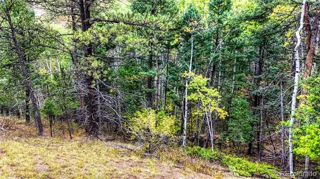 599 Dandy Jim Drive Cripple Creek, CO 80813