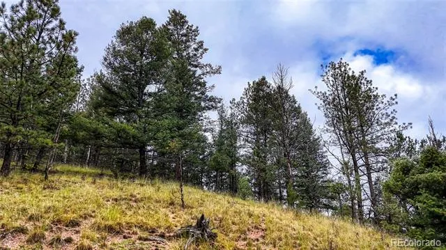 599 Dandy Jim Drive Cripple Creek, CO 80813