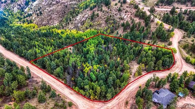 599 Dandy Jim Drive Cripple Creek, CO 80813