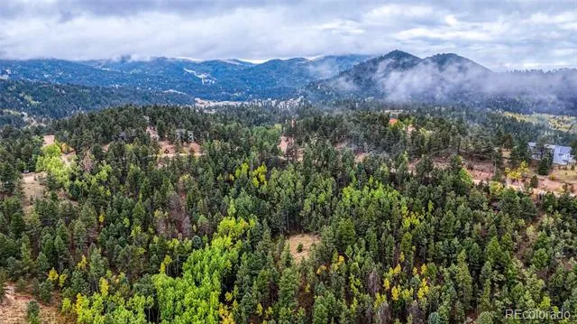 599 Dandy Jim Drive Cripple Creek, CO 80813