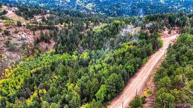 599 Dandy Jim Drive Cripple Creek, CO 80813