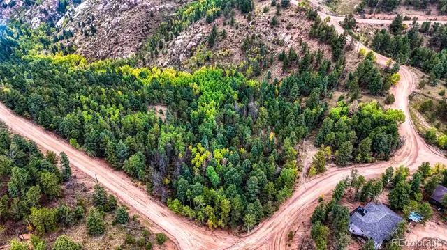 599 Dandy Jim Drive Cripple Creek, CO 80813