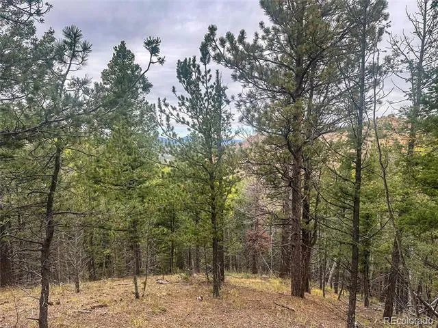 599 Dandy Jim Drive Cripple Creek, CO 80813