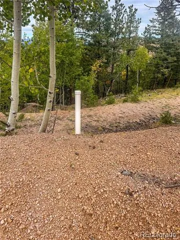 599 Dandy Jim Drive Cripple Creek, CO 80813