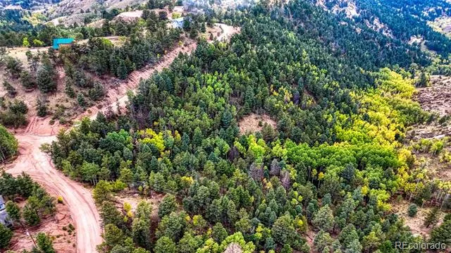 599 Dandy Jim Drive Cripple Creek, CO 80813