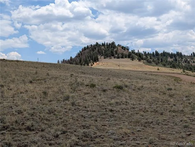 Coyotero Trail Hartsel, CO 80449